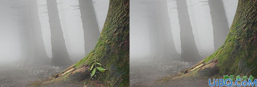 Photoshop梦幻动物场景合成实例：打造深夜月光下迷雾森林中行走的鹿王。