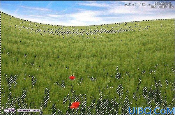Photoshop照片合成-草坪上的父子场景