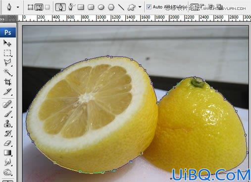 Photoshop合成漂浮在花藤中的创意杯子