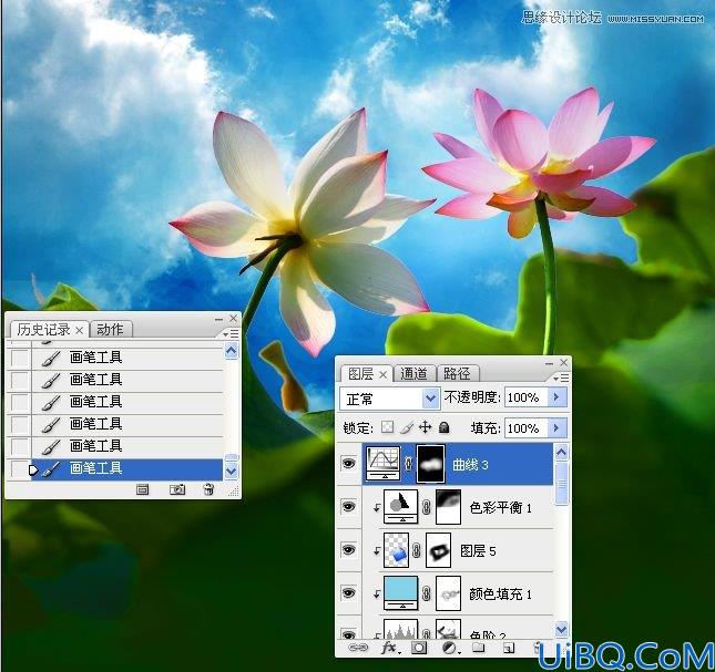 Photoshop多张图片合成一张荷花图