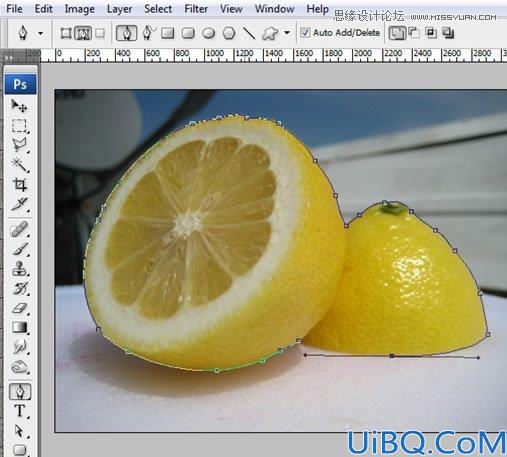 Photoshop合成漂浮在花藤中的创意杯子