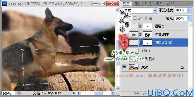 Photoshop合成神犬狙击手