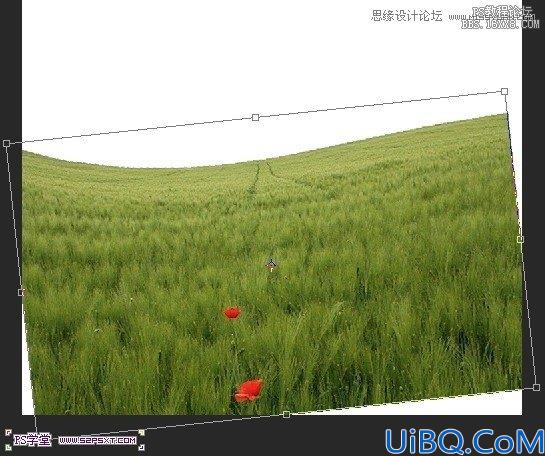 Photoshop照片合成-草坪上的父子场景