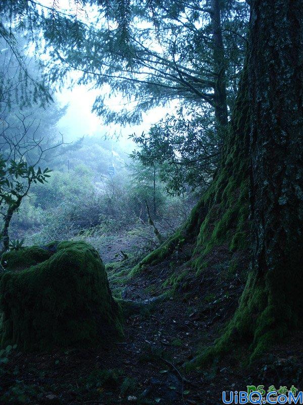 Photoshop魔幻场景合成教程:打造森林深处童话世界里奇幻的精灵场景特效