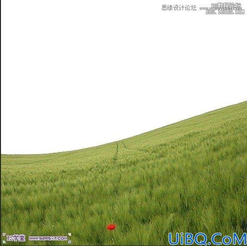 Photoshop照片合成-草坪上的父子场景