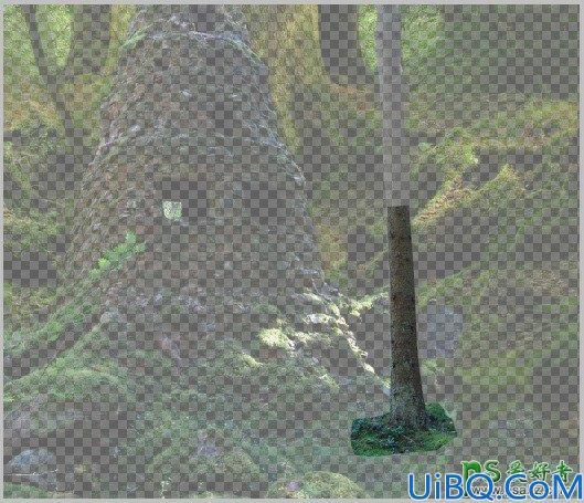Photoshop魔幻场景合成教程:打造森林深处童话世界里奇幻的精灵场景特效