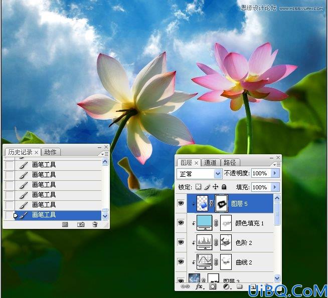 Photoshop多张图片合成一张荷花图