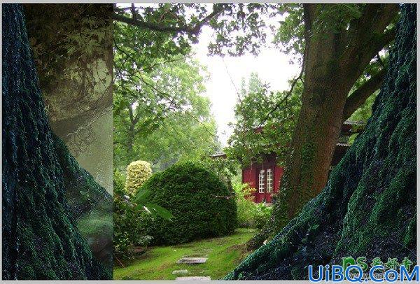Photoshop魔幻场景合成教程:打造森林深处童话世界里奇幻的精灵场景特效