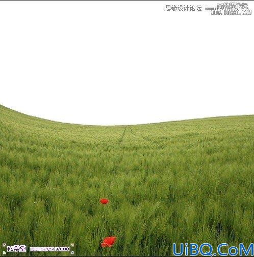 Photoshop照片合成-草坪上的父子场景
