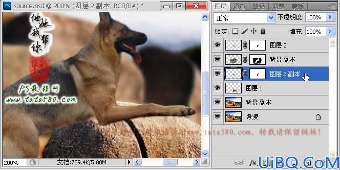 Photoshop合成神犬狙击手