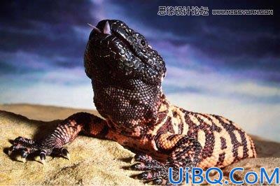 Photoshop合成城中哥斯拉