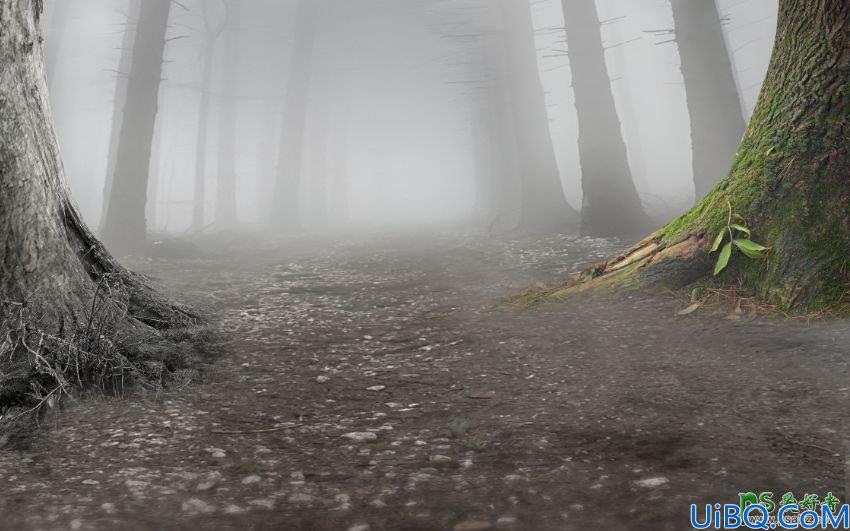 Photoshop梦幻动物场景合成实例：打造深夜月光下迷雾森林中行走的鹿王。