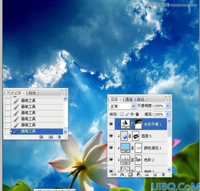 Photoshop多张图片合成一张荷花图