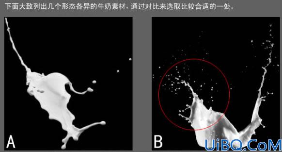 Photoshop合成一朵牛奶鲜花
