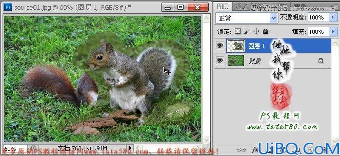 Photoshop多张松鼠图片合并成一张实例