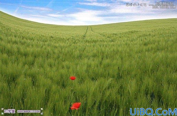 Photoshop照片合成-草坪上的父子场景