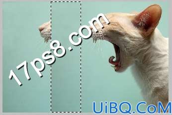 用Photoshop合成生化异形喷火猫