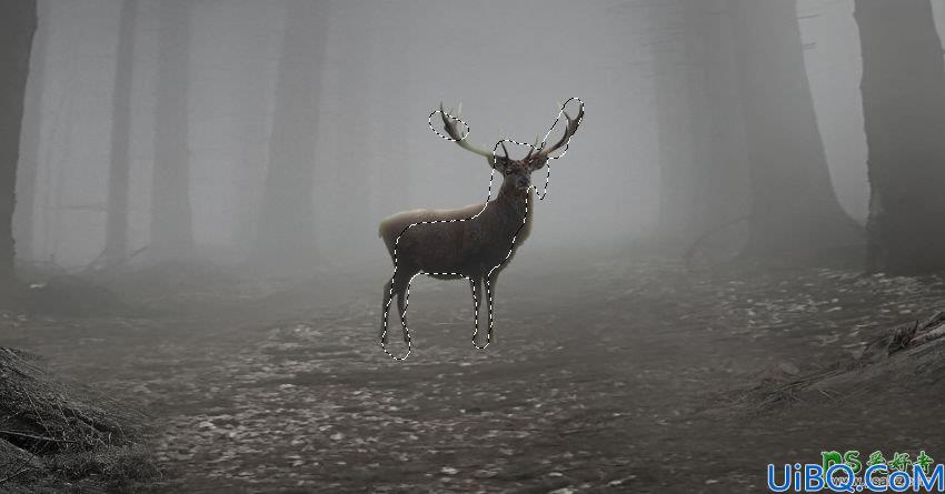 Photoshop梦幻动物场景合成实例：打造深夜月光下迷雾森林中行走的鹿王。