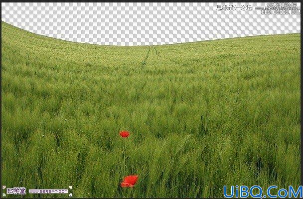 Photoshop照片合成-草坪上的父子场景