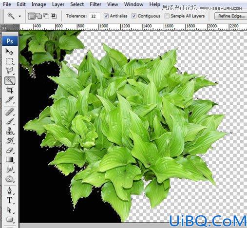 Photoshop合成漂浮在花藤中的创意杯子