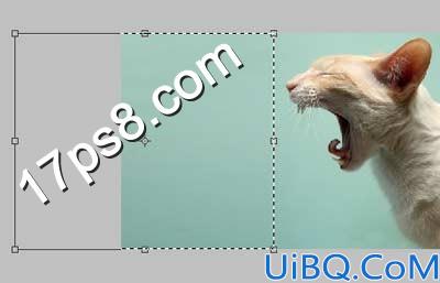 用Photoshop合成生化异形喷火猫