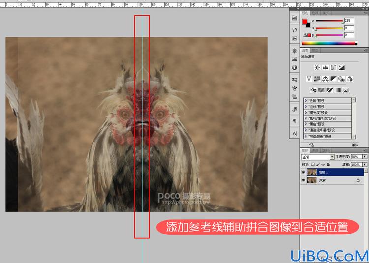 Photoshop用镜像合成可怕公鸡