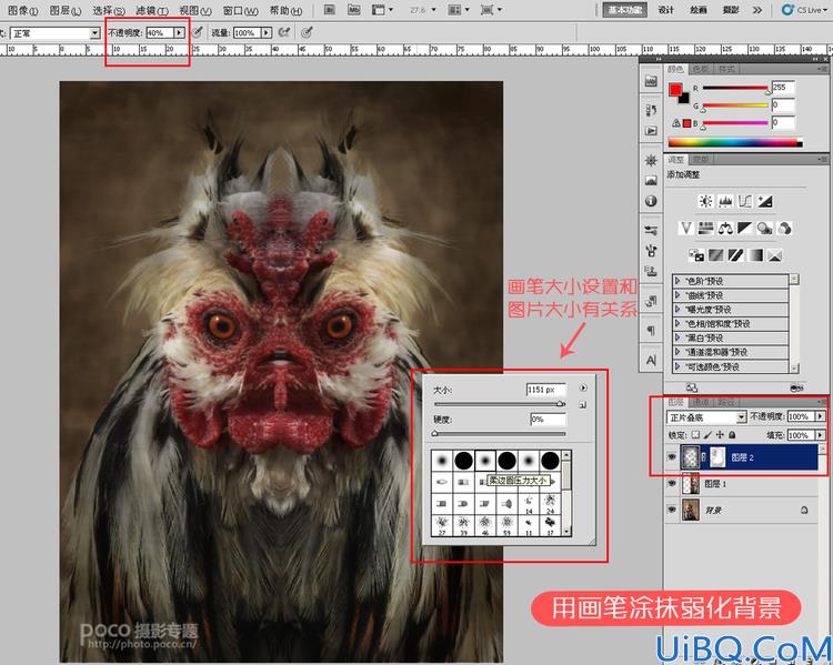 Photoshop用镜像合成可怕公鸡