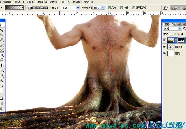 Photoshop使用素材合成一个愤怒的树人的教程