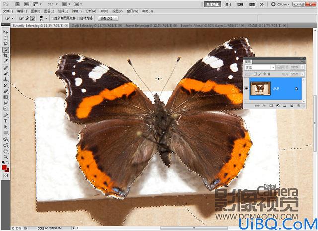 Photoshop CS5如何将多幅照片合成为一幅作品。