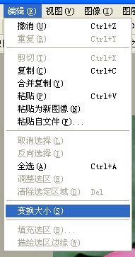 Photoshop图像的合成—花中仙子的制作