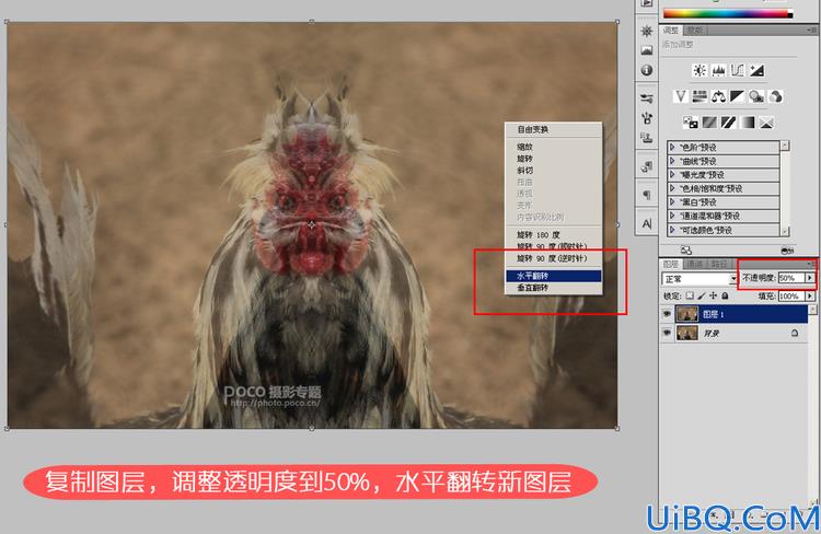 Photoshop用镜像合成可怕公鸡