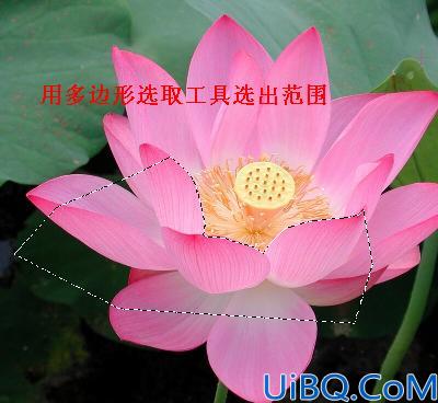 Photoshop图像的合成—花中仙子的制作