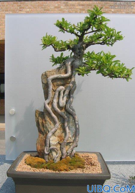 Photoshop合成山谷中的奇幻景象