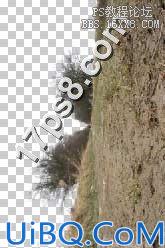 用Photoshop合成死亡场景-骷髅与玫瑰