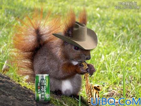 图片合成：喝啤酒的松鼠