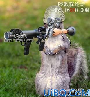 Photoshop合成教程:合成滑稽的松鼠士兵