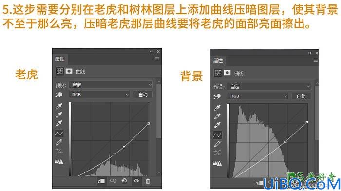 Photoshop创意合成夜色森林中唯美女孩儿与巨型老虎互动的场景