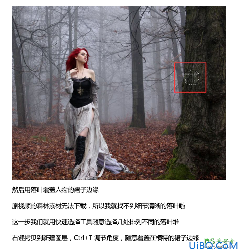 Photoshop美女后期合成教程：打造唯美梦幻紫色魔法森林中的美女人像场景