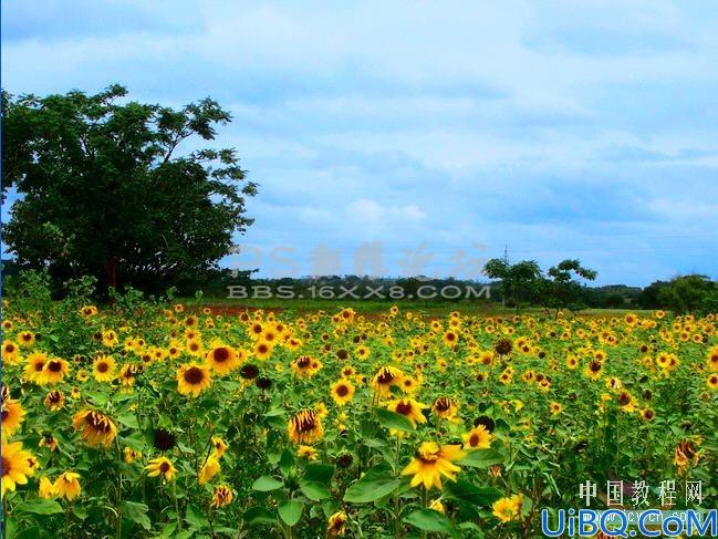 photoshop怎样把天空变成蓝天白云