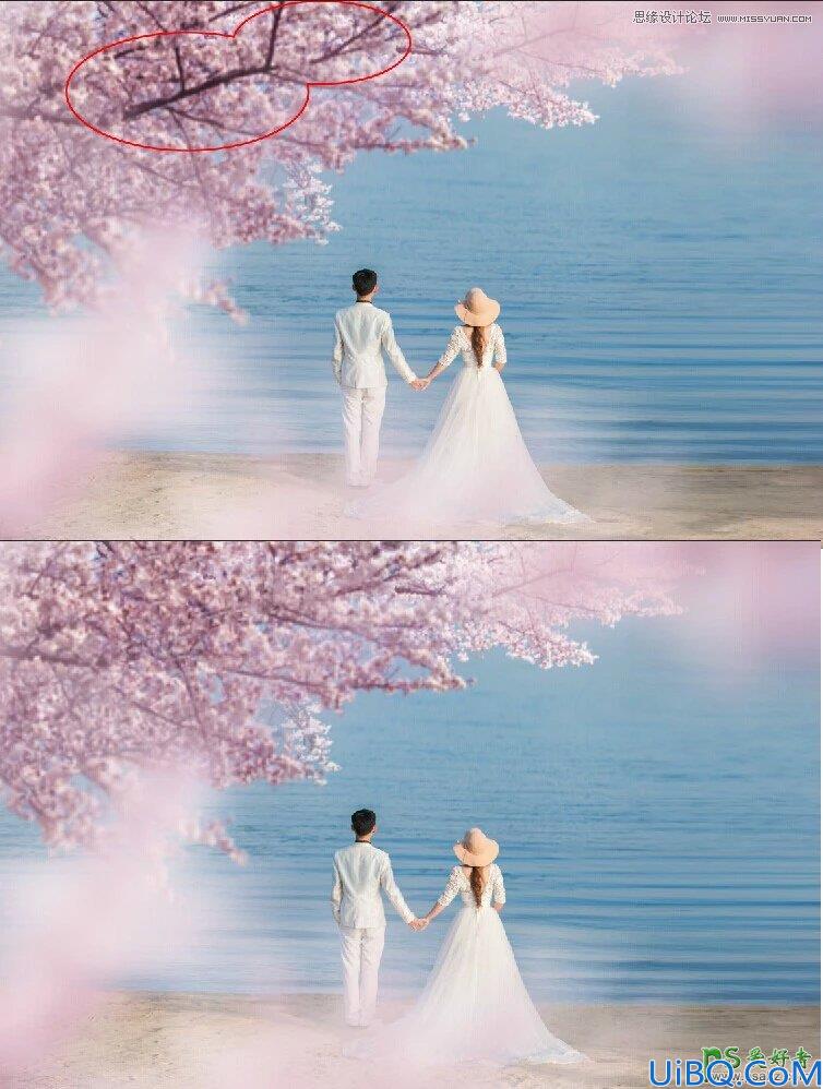 Photoshop婚片合成教程：利用素材图合成出唯美迷人的樱花树下婚片美景