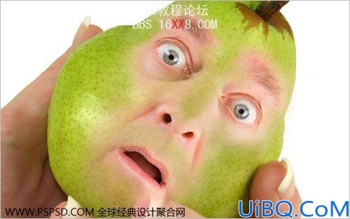 Photoshop合成教程：人面鸭梨创建技巧