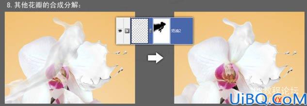 Photoshop教程:合成动感的牛奶花朵