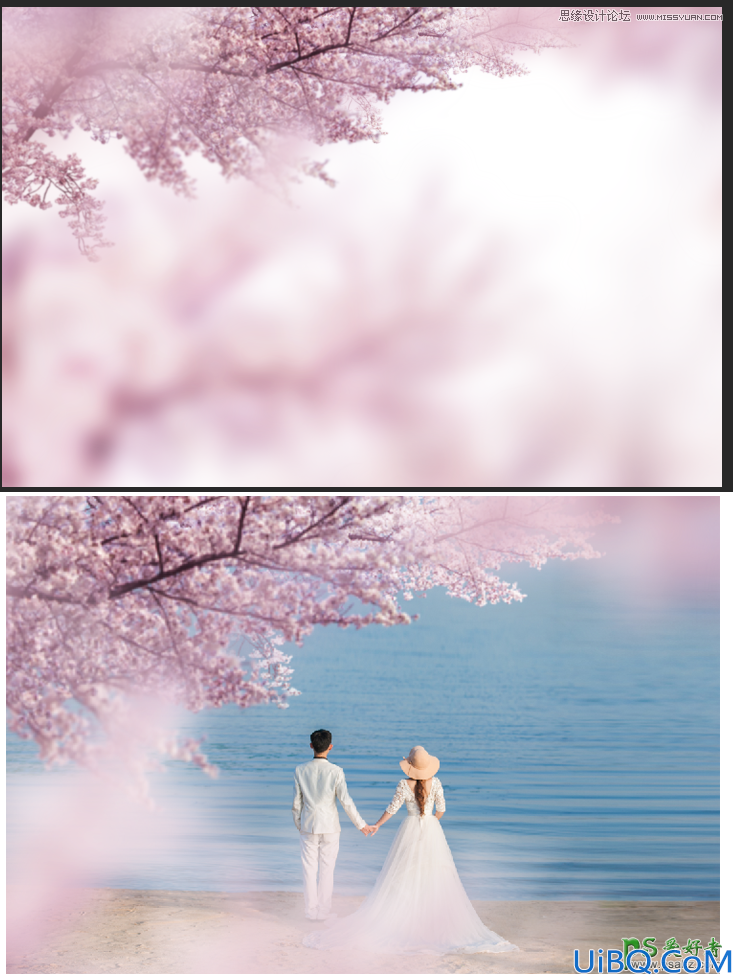 Photoshop婚片合成教程：利用素材图合成出唯美迷人的樱花树下婚片美景