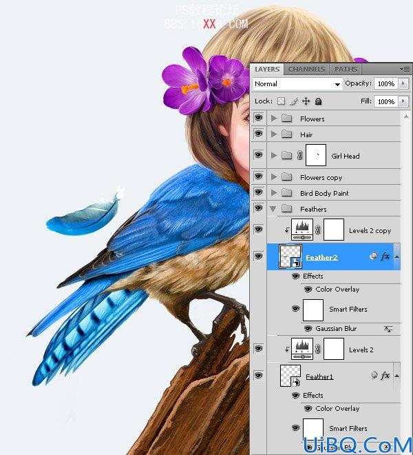 PHOTOSHOP教程:创建一个梦幻的小鸟女孩画像