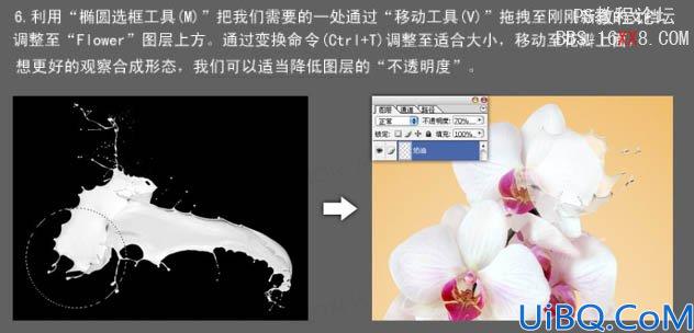 Photoshop教程:合成动感的牛奶花朵