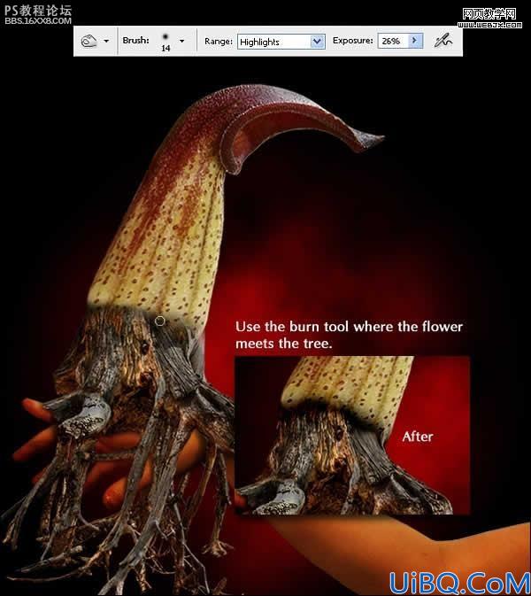 photoshop合成外星植物