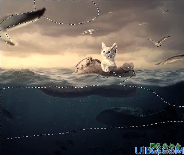 Photoshop合成教程：创意打造一只可爱的小猫咪坐在鞋上环游大海的场景