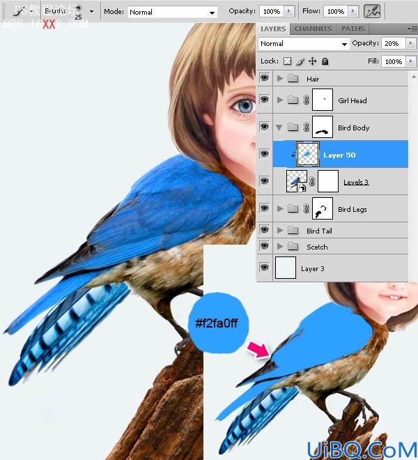 PHOTOSHOP教程:创建一个梦幻的小鸟女孩画像