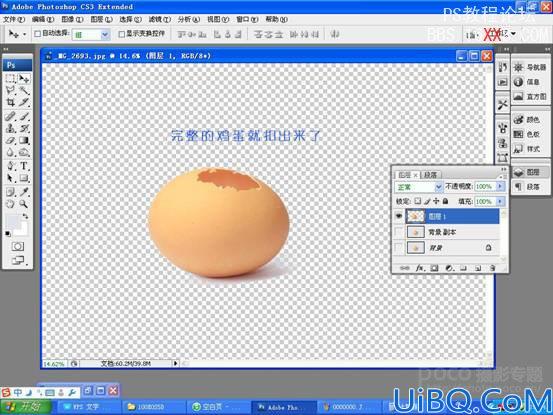 Photoshop合成鸡蛋中长出来的植物