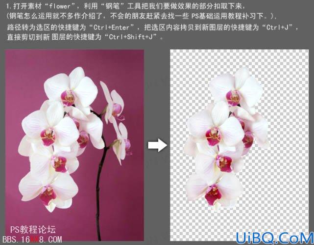 Photoshop教程:合成动感的牛奶花朵